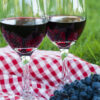 Наливка из винограда – пошаговый рецепт с фото